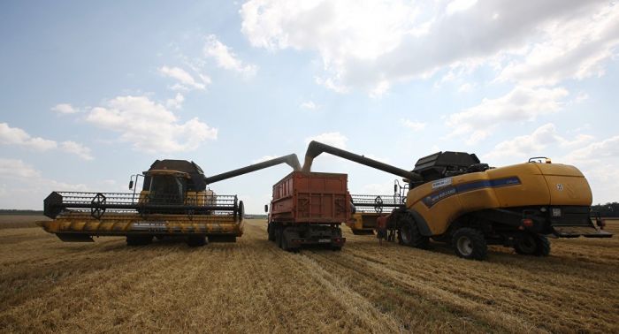 ​Казахстанские фермеры выступают против сдачи в аренду земель иностранцам