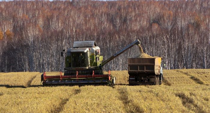 Мораторий на передачу в аренду земель продлят на 5 лет