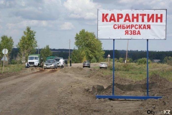 Сибирская язва подозревается у двух человек в Карагандинской области