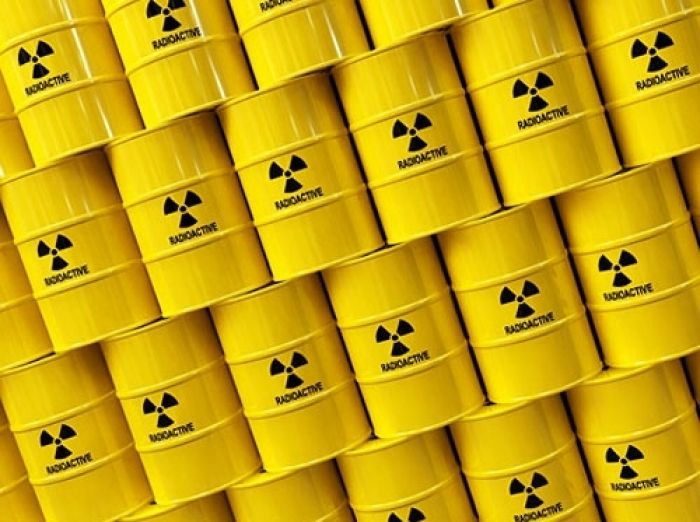 Казахстан может стать совладельцем французской компании по производству ядерной энергии - СМИ