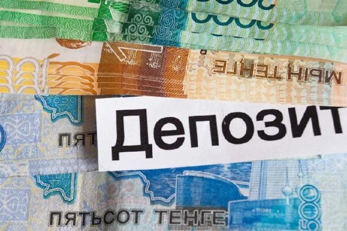 Шаяхметова: Ставки по тенговым депозитам необходимо снижать 