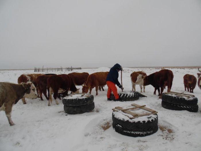 ​Каникулы в Актобе