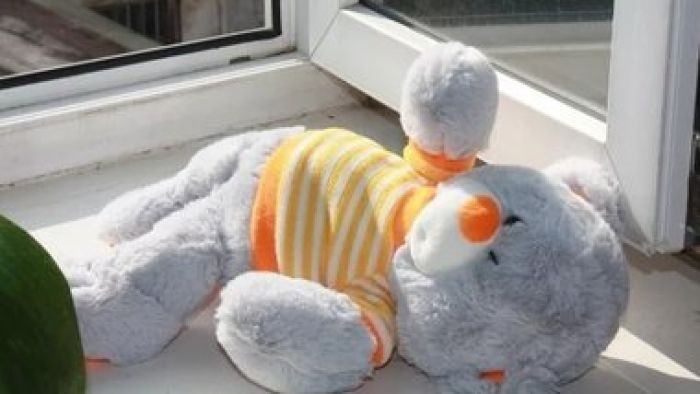 ​В Алматинской области погиб выпавший из окна малолетний ребенок 