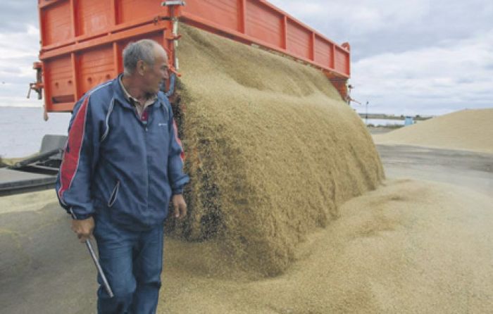​Китайцы собираются опрокинуть мировой рынок зерна за счет земель Казахстана 