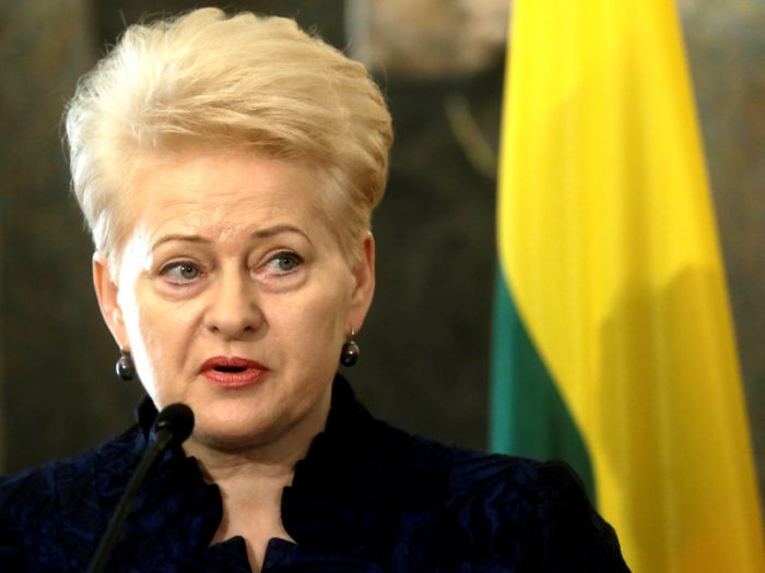 Президент Литвы назвала военные учения России и Белоруссии "Запад-2017" подготовкой к войне 