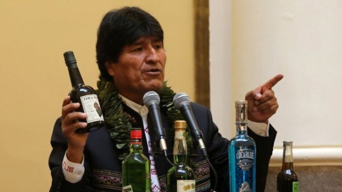 Президент Боливии одобрил увеличение площади посевов коки