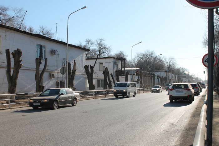 Обрезать деревья надо. Но как?