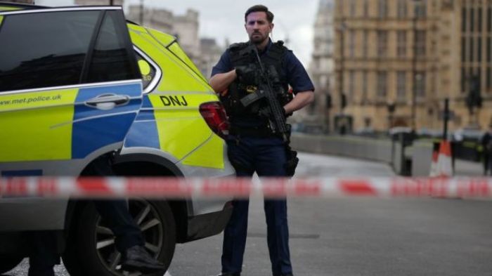У здания британского парламента произошла стрельба