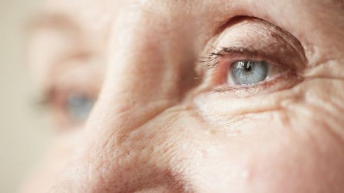 На мышах успешно опробован омолаживающий препарат 