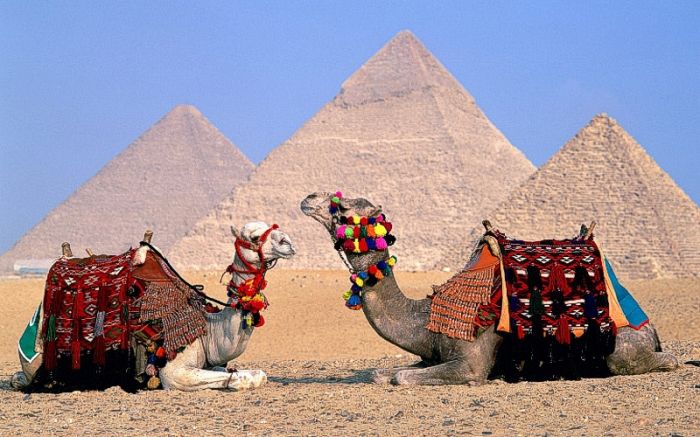 Казахстанцы не собираются отказываться от туров в Египет