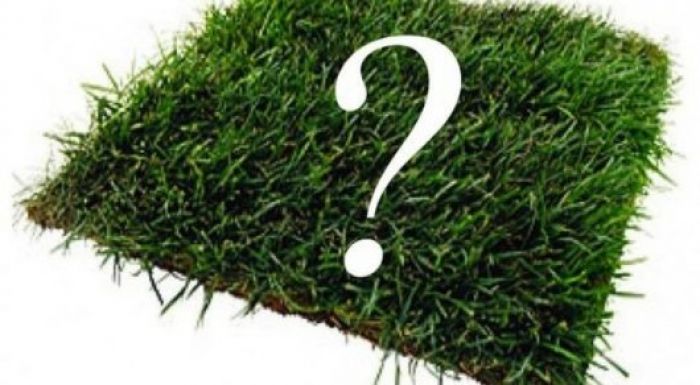 В МСХ РК рассказали, как будет изыматься земля под нужды государства 