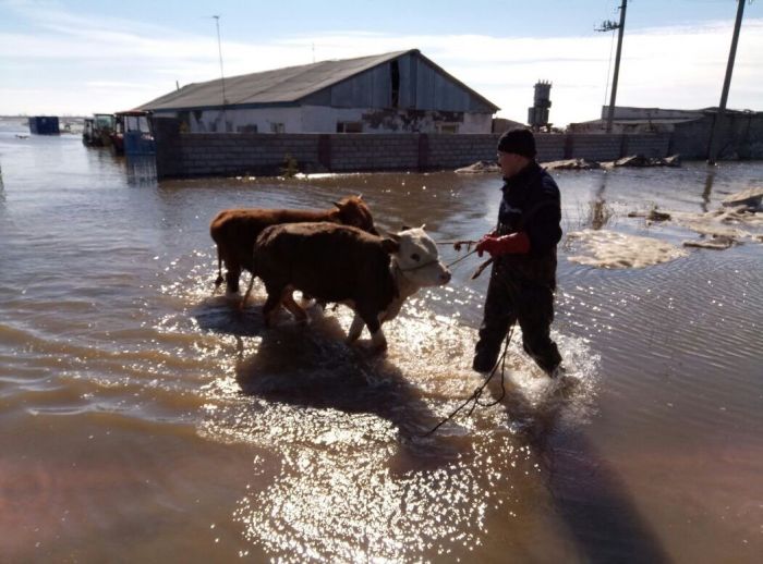В Казахстане в результате паводков пострадали полсотни населённых пунктов - МВД 