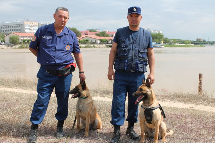 Новые спасатели 