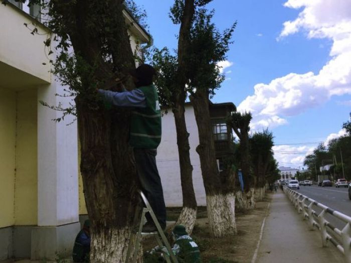 До тендера все съели 