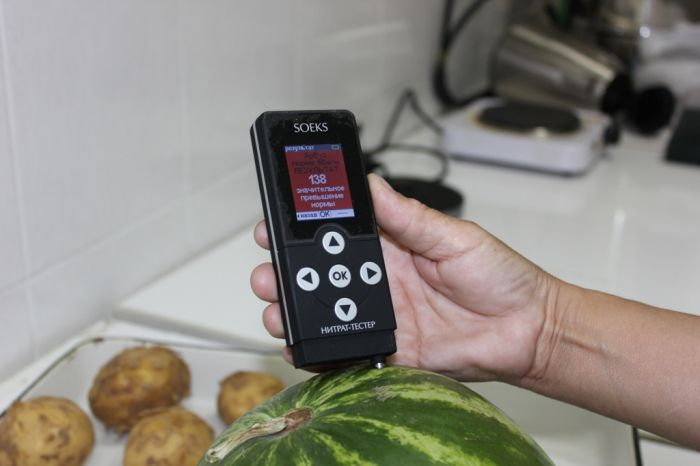 «Арбуз ваш с нитратами», покраснел тестер