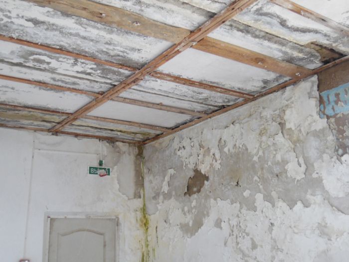 Тут ждут выпускницу  мединститута