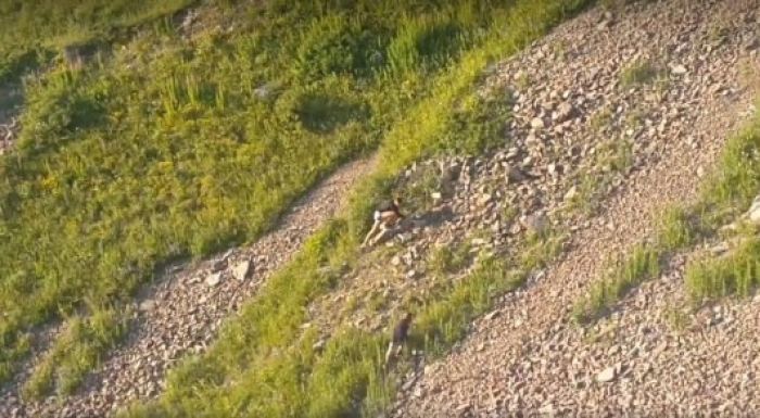 В горах Алматы погиб парень, сбежавший с 16-летней фехтовальщицей 