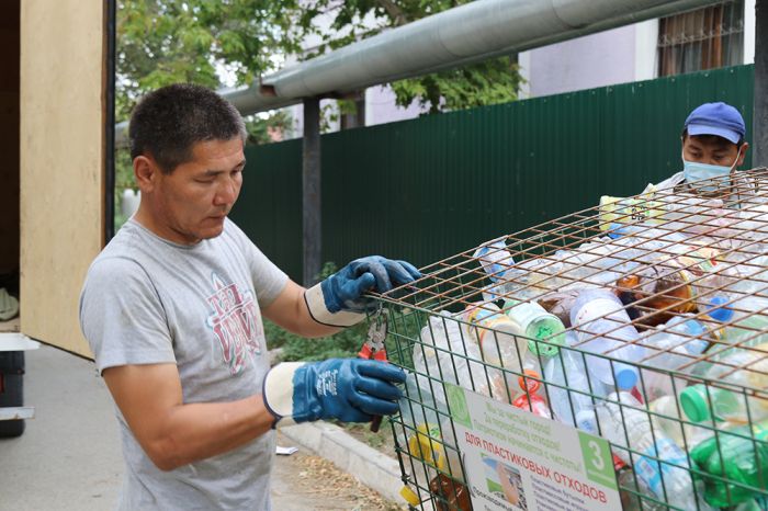 Куда идут баклажки 
