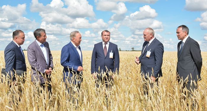 Назарбаев указал на недостатки крупных фермерских хозяйств
