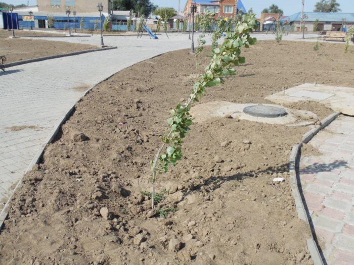 Парк без отдыха 