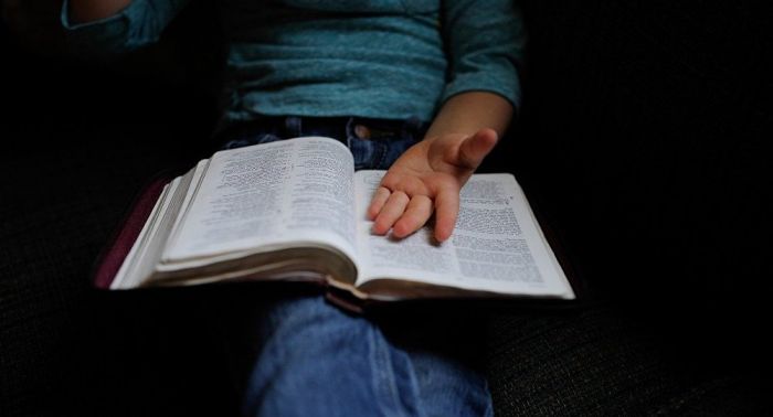 Авторы учебника с Кукусей и Бутявкой выступили в свою защиту 