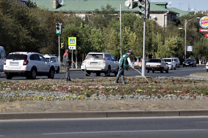 Это ещё цветочки 