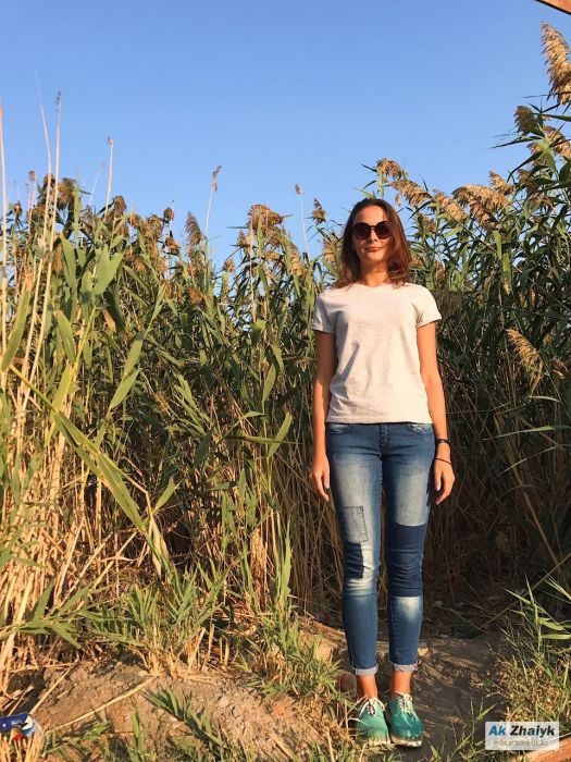 Хоть трава расти 