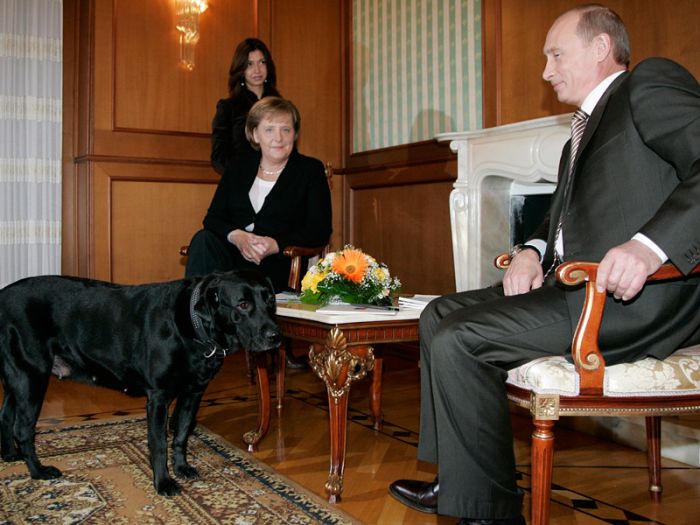 В Focus объяснили непонятный русским смысл выражения "собака-Путин" 
