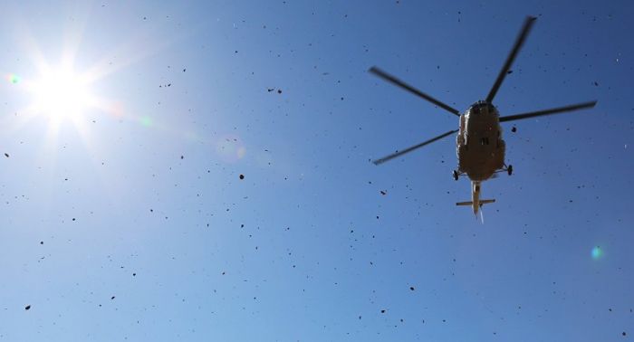 Вертолет совершил жесткую посадку в Акмолинской области 