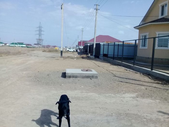 Главные пропустили 