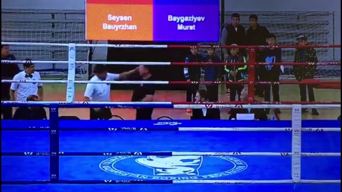 Видео драки между рефери и тренером по боксу набирает просмотры в Сети 