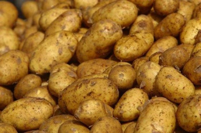 Зимой картофель может подорожать до 300 тенге - исследование 