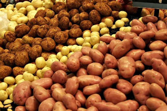 Возможный рост цен на картофель в Казахстане прокомментировали в Минсельхозе 