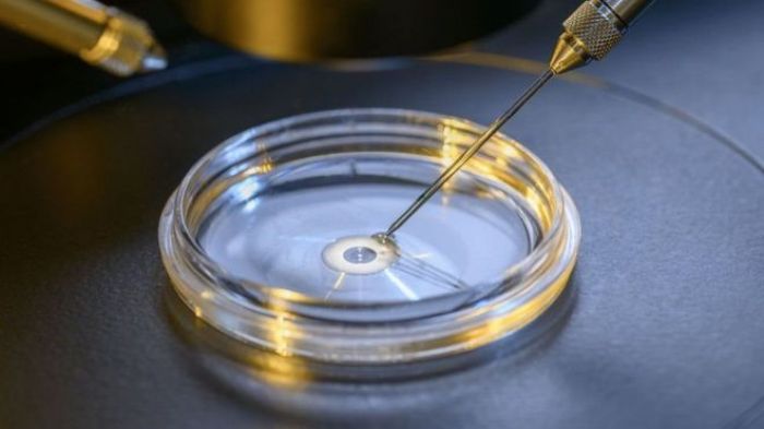 Эмбрион человека избавили от дефекта при помощи коррекции ДНК 