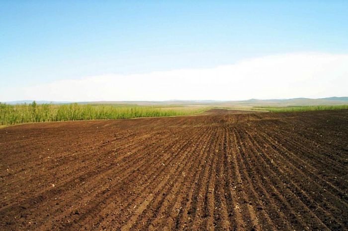 Ограничить выдачу земли сельхозназначения юрлицам намерены в Казахстане 