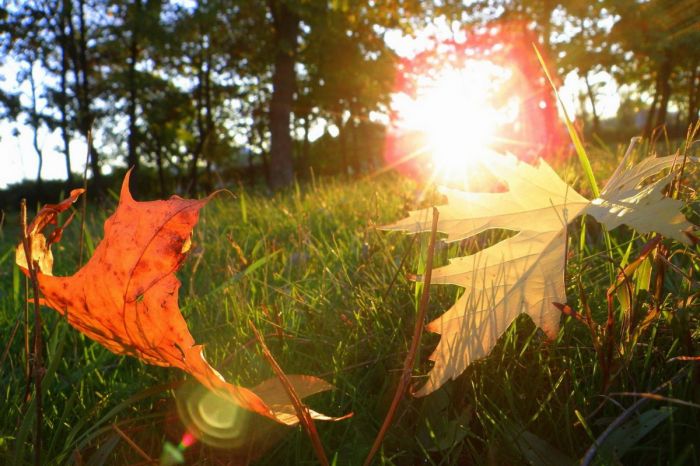 Конец октября будет теплым – Казгидромет 