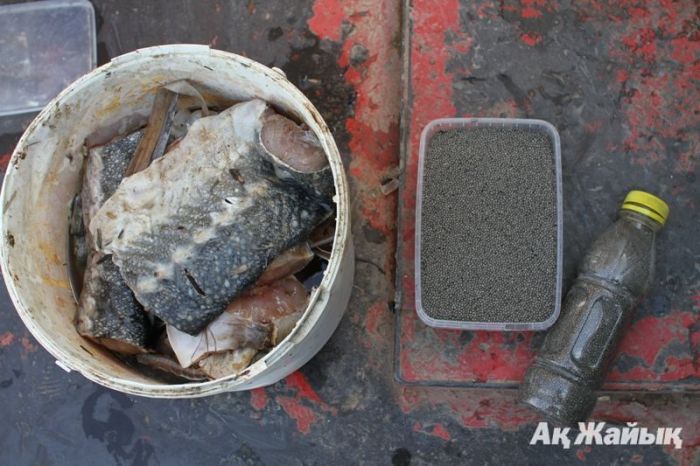 В Актобе судят полицейских, торговавших икрой и осетриной