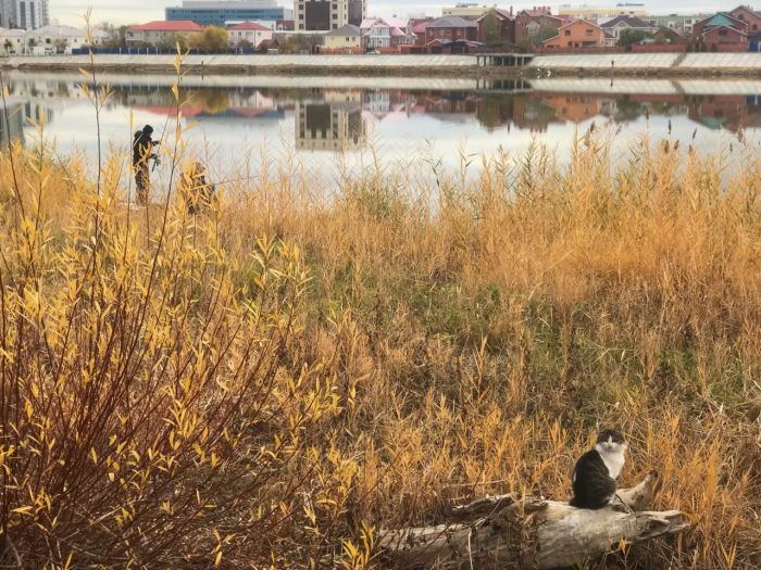 Воскресный променад