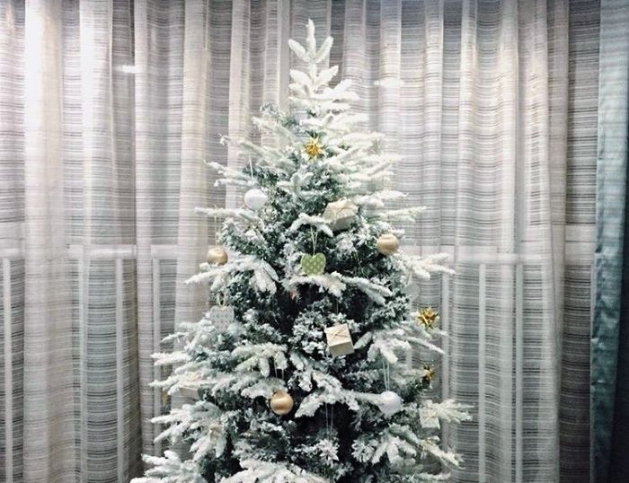 А у вас какая ёлка? 