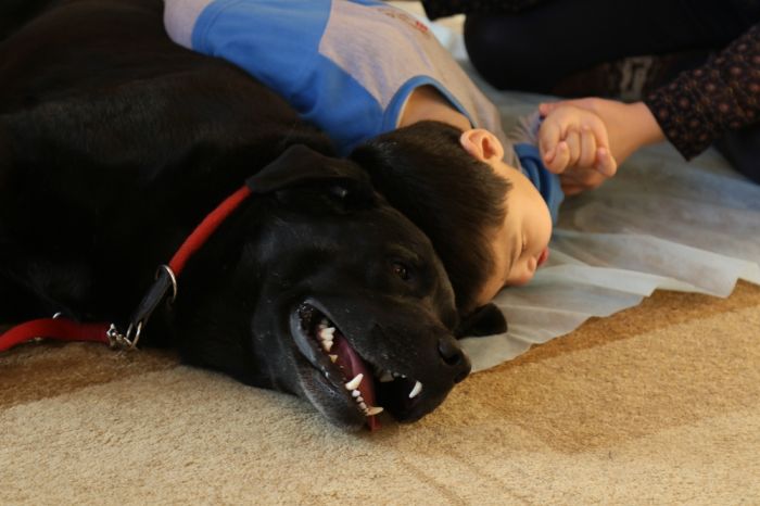 Федя с малышом и Гром с небес