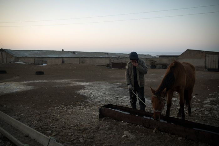 Репортер Times поведал о тяжелой жизни чабанов в Казахстане 