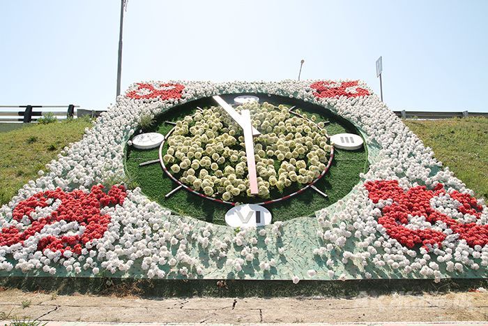 Пока идут «цветочные» часы