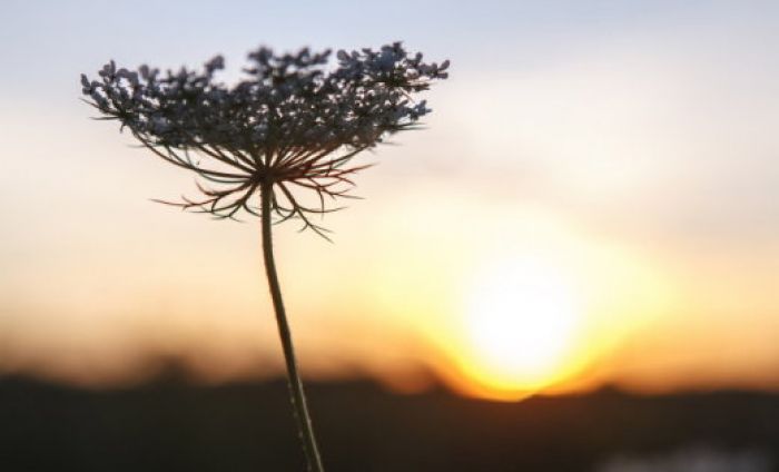 Глобальное потепление продолжается, установили ученые  