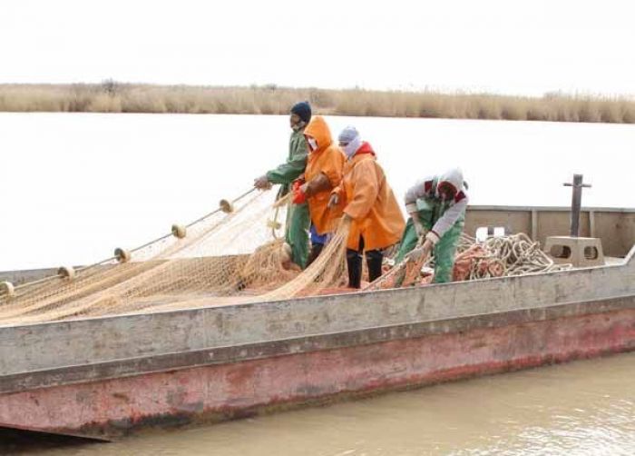 С какого Кигача вдруг коза ностра?