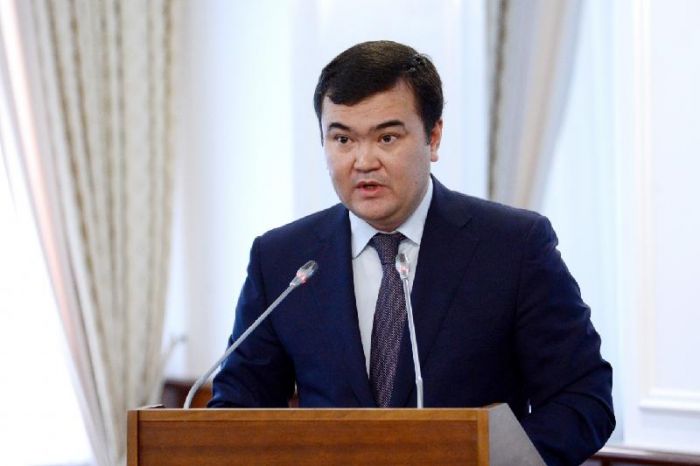 Новая нацкомпания может появиться в Казахстане 