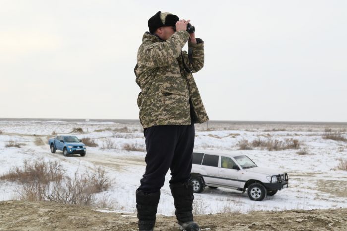 Месть волчицы