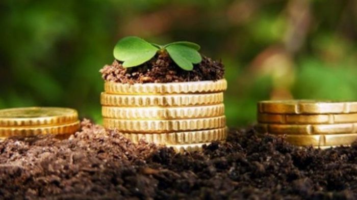 "КазАгро" ответил на недовольство граждан из-за получения 60 млрд тенге из ГФСС 