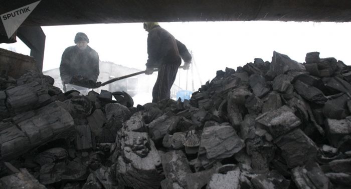 Бозумбаев прокомментировал дефицит угля в Алматинской области 