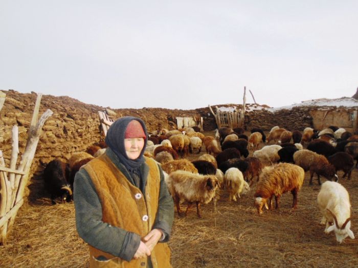 Снега мало. Впереди засуха?