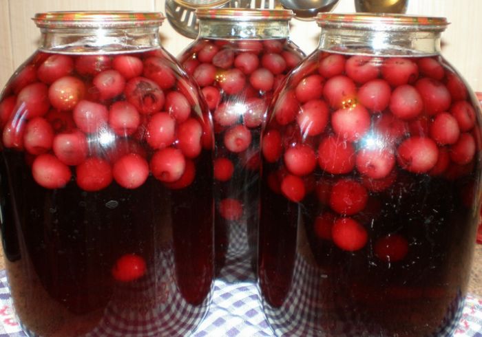 Домашний компот стал источником распространения гепатита А среди школьников Караганды